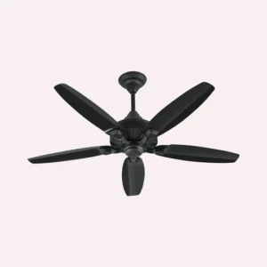 GRACE FAN