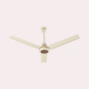 JAZZ PLUS FAN