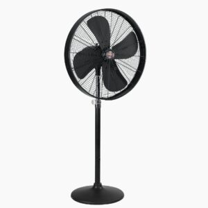 Designer With Round Base
