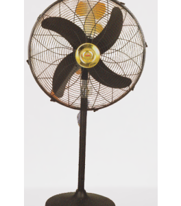 Fancy Model pedestal fan